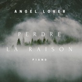 Perdre la raison (Version Instrumental) artwork