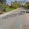Lakeview Drive - Single