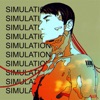 Simulations