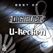 Best of DigiCult & U-Recken artwork