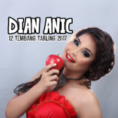 Dian Anic 12 Tembang Tarling Dangdut 2017 - Dian Anic