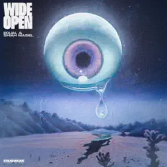 Wide Open - Single by Equal & Shiah Maisel album reviews, ratings, credits