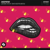 Desire (feat. She Keeps Bees) [Extended Mix] artwork