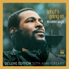 Marvin Gaye - What's Going On (Deluxe Edition 50th Anniversary)  artwork