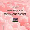 Permanent Fixture (feat. Ace & Ashton Soother) - Single album lyrics, reviews, download
