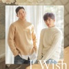 I Wish - Single