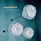 Coat Tails - Equipment lyrics