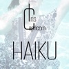 Haiku - Single