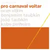 Pro Carnaval Voltar (feat. Kabé Pinheiro) - Single album lyrics, reviews, download