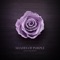 Shades of Purple cover