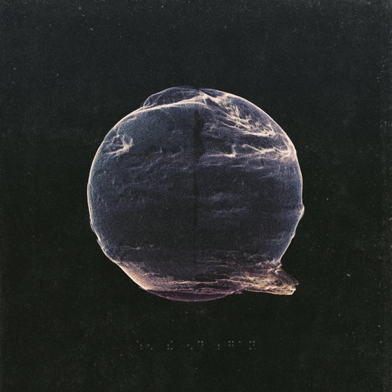Cover artwork for Visible Unseen