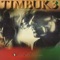 B-Side of Life - Timbuk 3 lyrics