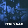 Teri Yaad - EP