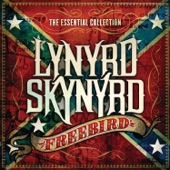 Lynyrd Skynyrd - I Know a Little