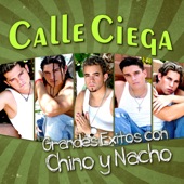 Grandes Éxitos con Chino y Nacho (feat. Chino y Nacho) artwork