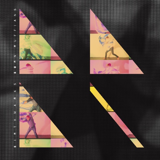 Cover artwork for Permanent Hesitation