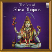 The Best of Shiva Bhajans - Artisti Vari