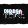 Perreo Tik Tok (feat. Kaleb Di Masi) [Remix] - Single