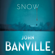 John Banville - Snow (Unabridged)