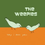 The Weepies, Deb Talan & Steve Tannen - Riga Girls