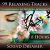 99 Relaxing Tracks (8 Hours) for Relaxation, Meditation, Reiki, Yoga, Spa, Massage and Sleep Therapy album lyrics, reviews, download