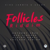 Follicles Riddim - EP artwork