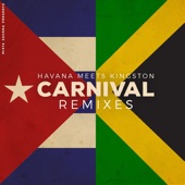 Carnival (Gaudi Dub) artwork