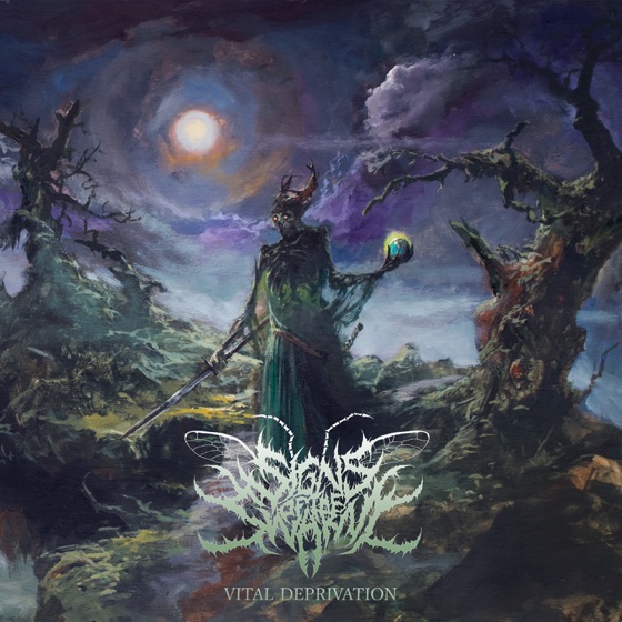 Cover artwork for Lost Within Reflection