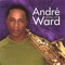 Andre’s Theme (feat. Yasha) - Andre Ward lyrics