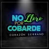 No Lloro por Cobarde - Single