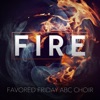 Fire - Single