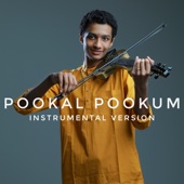Pookal Pookum (feat. Hari Narayanan) [Instrumental Version] artwork