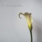 A Poquito Doina - The Brother Brothers lyrics