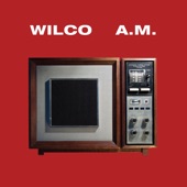 Wilco - Passenger Side