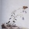 Quercus Lamellosa - Botanist lyrics