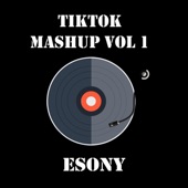 Tiktok Mashup Vol 1 artwork