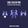Purka Sat Fast i Grindi (feat. Kåre Opheim & Håkon Høgemo) - Single album lyrics, reviews, download