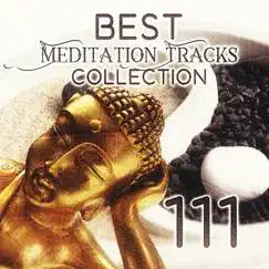 111 Best Meditation Tracks Collection: Oasis Sounds of Nature with Native American Flute for Deep Relaxation, Japanese Zen Garden Music, Pure Massage Music, Healing Spa, Serenity Sleep Songs by Various Artists album reviews, ratings, credits