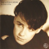 The Lotus Eaters - Out On Your Own