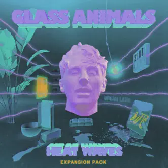 Heat Waves (Riton Remix) by Glass Animals & Riton song reviws