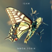 Amon Tobin - Dropped from the Sky