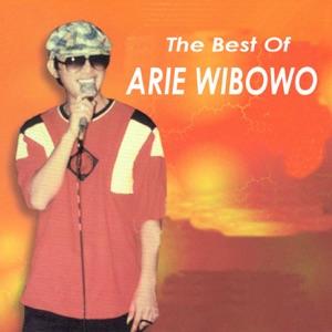 Arie Wibowo - Singkong Dan Keju - Line Dance Musik