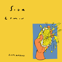 Local Natives - Sour Lemon - EP artwork