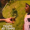 Tempo ao Tempo - Single