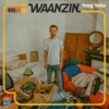 Waanzin - Single