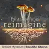 Brilliant Mycelium (Fantastic Fungi: Reimagine) - Single album lyrics, reviews, download