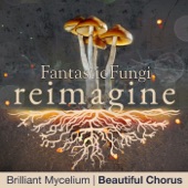 Beautiful Chorus - Brilliant Mycelium - Fantastic Fungi: Reimagine