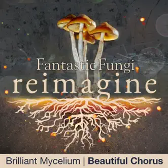 Brilliant Mycelium (Fantastic Fungi: Reimagine) - Single by Beautiful Chorus album reviews, ratings, credits