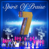 Spirit of Praise, Vol. 7 (Live) - Spirit of Praise
