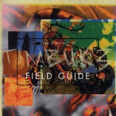 Field Guide - Some of the Best of Timbuk 3 artwork